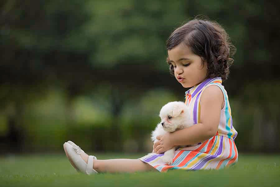 Is It a Good Idea To Get a Dog For My Kids? Your Guide to Making the Right Choice