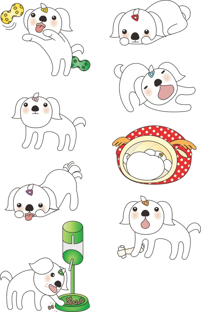 dog dress ideas