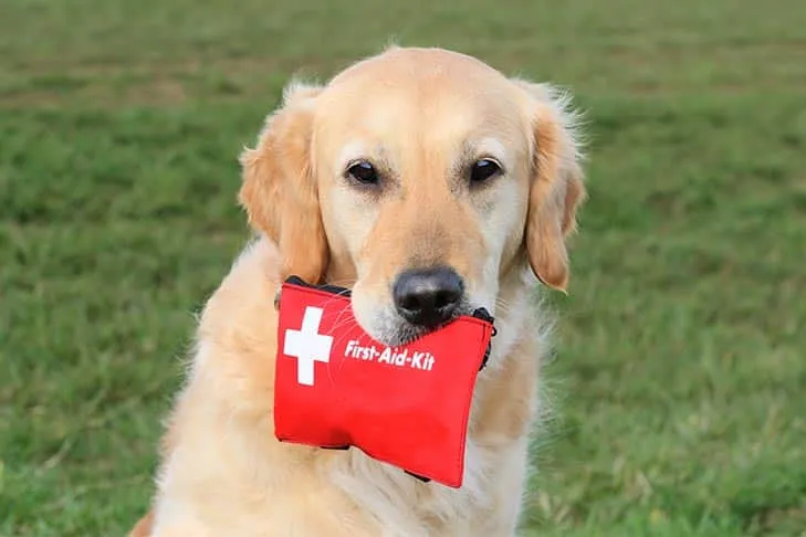  first aid pouch