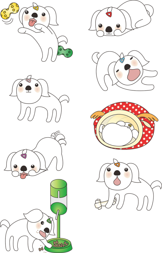 dog dress ideas