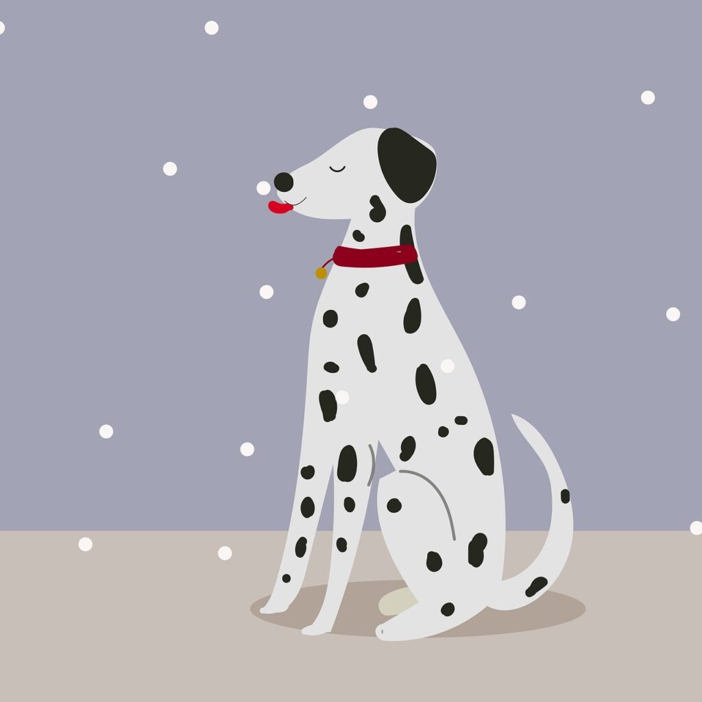 dog dressing