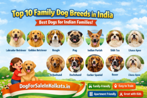 Top 10 Best Family Dog Breeds in India - Best Dogs for Indian Families